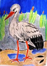 Zvolenská Karolina.jpg